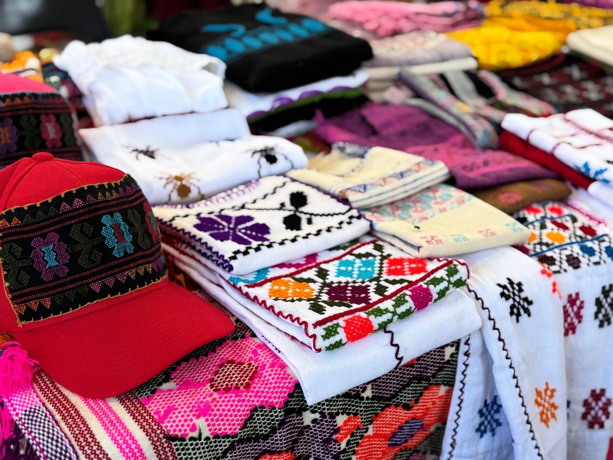 Imagen de Galería del Municipio 6