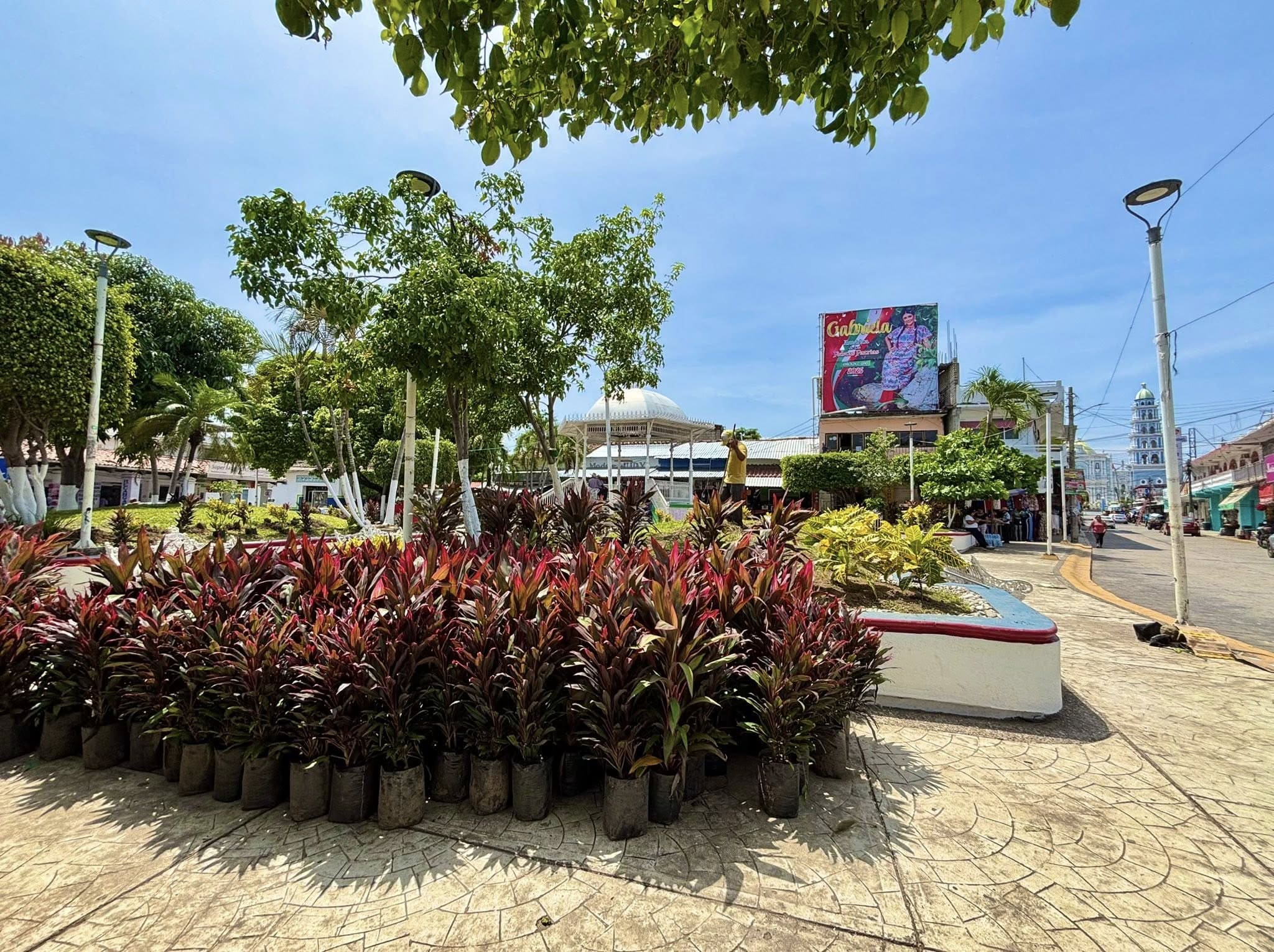 Imagen de Galería del Municipio 5